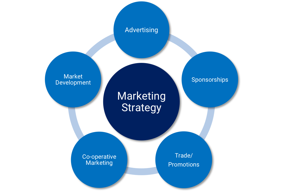 Маркетинг. Стратегии маркетинга. Бизнес маркетинг. Бизнес стратегия. Develop market