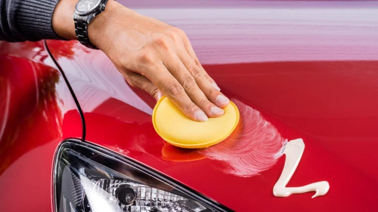Should I Choose Natural or Synthetic Car Wax