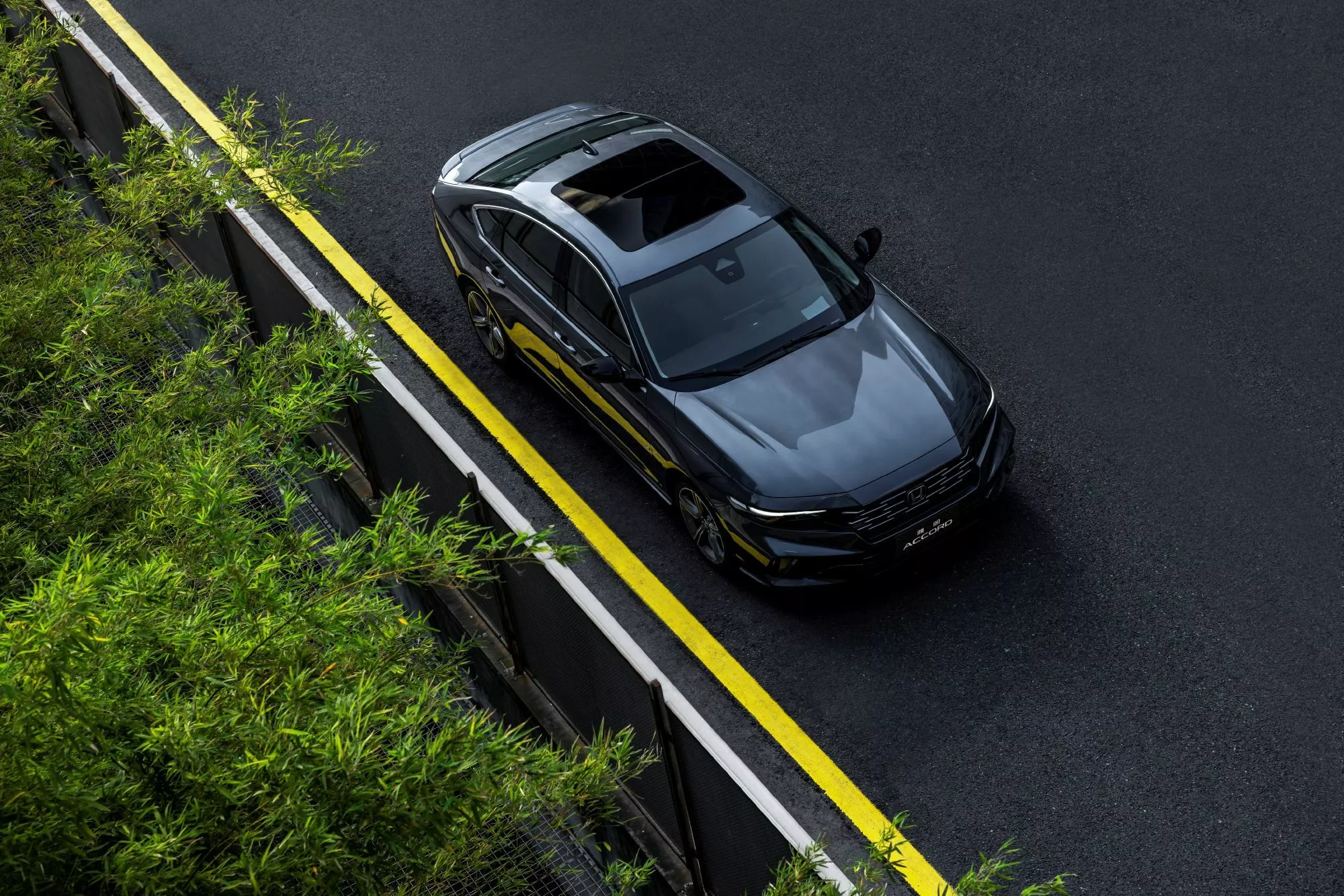 2026 Honda Accord (6)